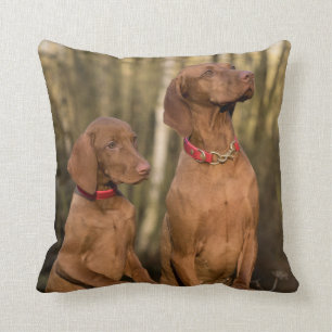 Vizsla Hound Dogs - Hunting Hounds - Cushion