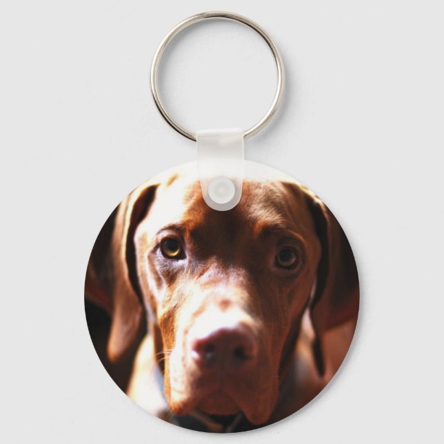VIZSLA - key chain (Front)