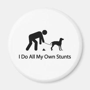 Vizsla Magnet