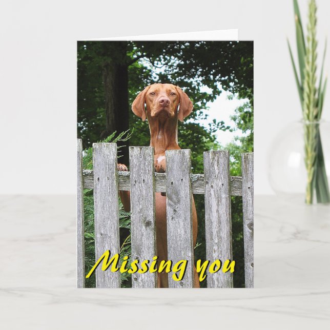 Vizsla "Missing You" card (Front)
