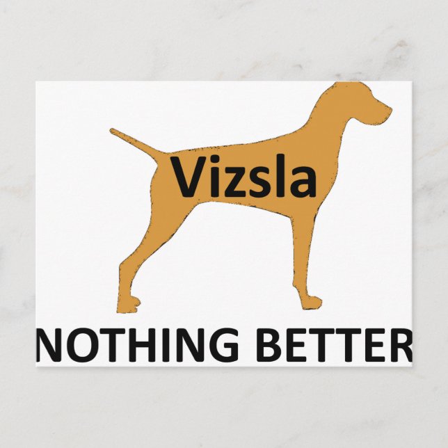Vizsla name silo colour nothing better postcard (Front)