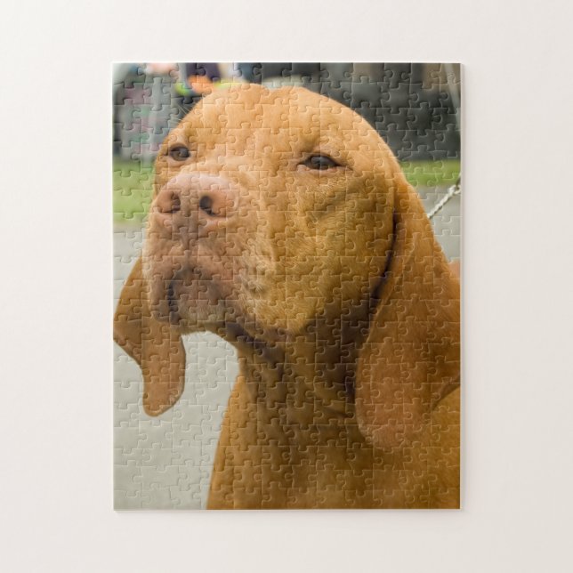 Vizsla Photo Jigsaw Puzzle (Vertical)