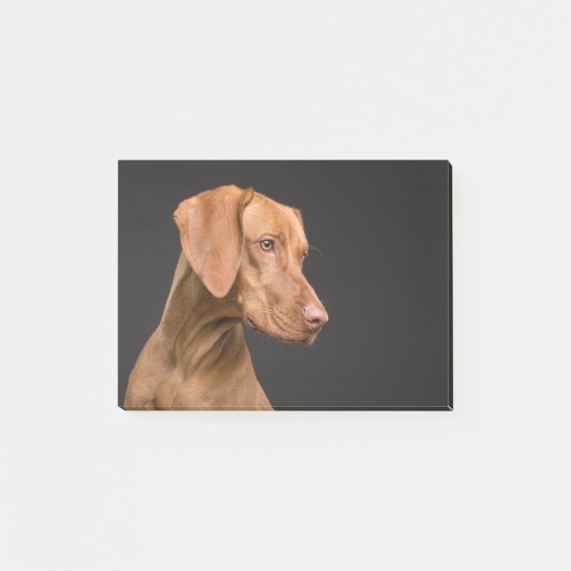 Vizsla Post-it Notes (Front)