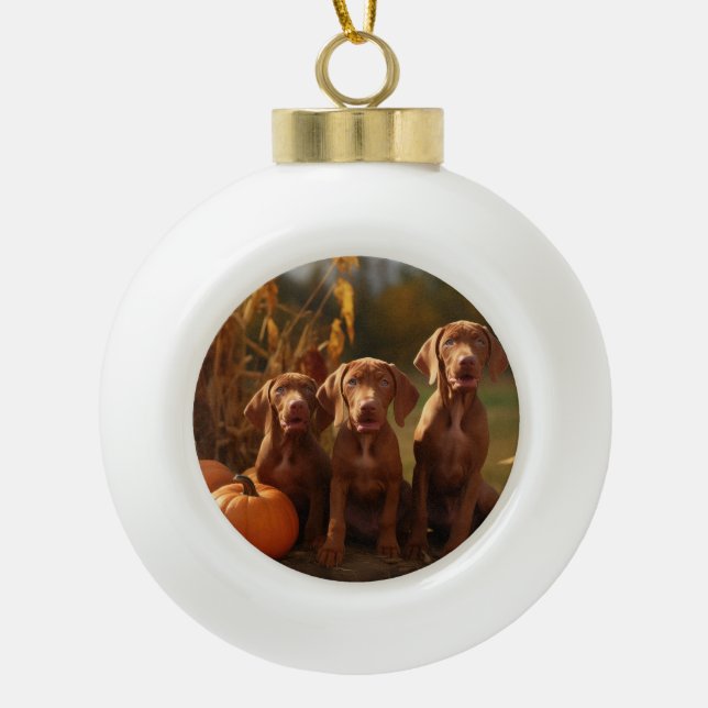 Vizsla Puppy Autumn Delight Pumpkin Ceramic Ball Christmas Ornament (Front)