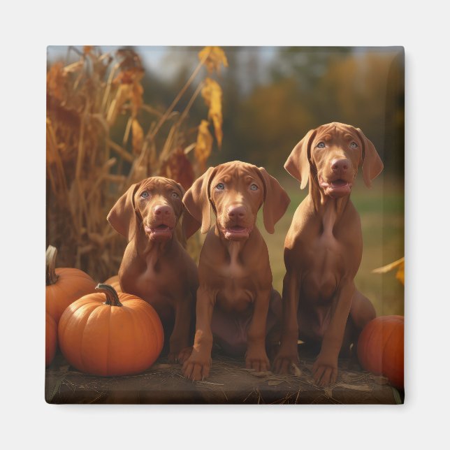 Vizsla Puppy Autumn Delight Pumpkin Magnet (Front)