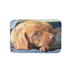 Vizsla Puppy Resting On Its Paw Bath Mat
