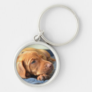 Vizsla Puppy Resting On Its Paw Key Ring