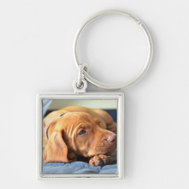 Vizsla Puppy Resting On Its Paw Key Ring (Front)