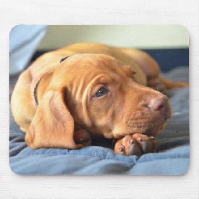 Vizsla Puppy Resting On Its Paw Mouse Mat (Front)