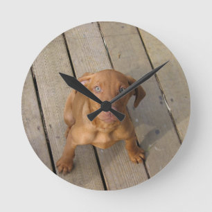 vizsla puppy round clock