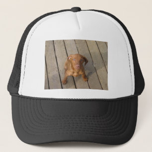 vizsla puppy trucker hat