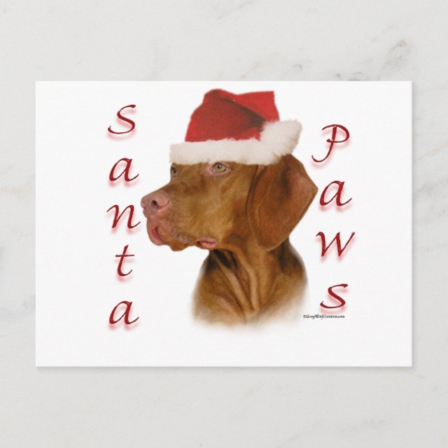 Vizsla Santa Paws Holiday Postcard (Front)