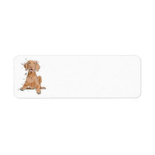 Vizsla Sitting Cartoon