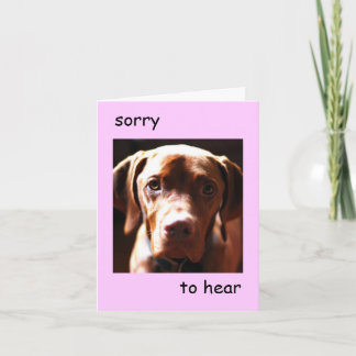 Vizsla -  sorry to hear you're pawly (pink) card