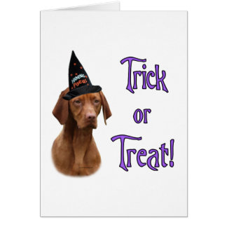 Vizsla Trick