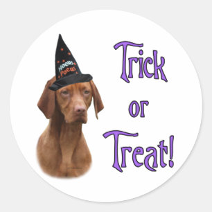 Vizsla Trick Classic Round Sticker