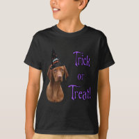 Vizsla Trick