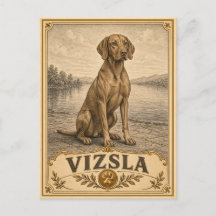 Vizsla, Vintage Heritage Dog