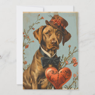 Vizsla Vintage Valentine's Day  Holiday Card