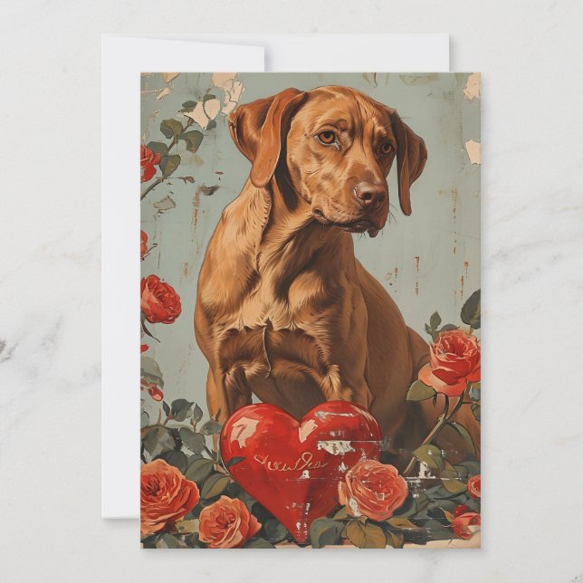 Vizsla Vintage Valentine's day  Holiday Card (Front)