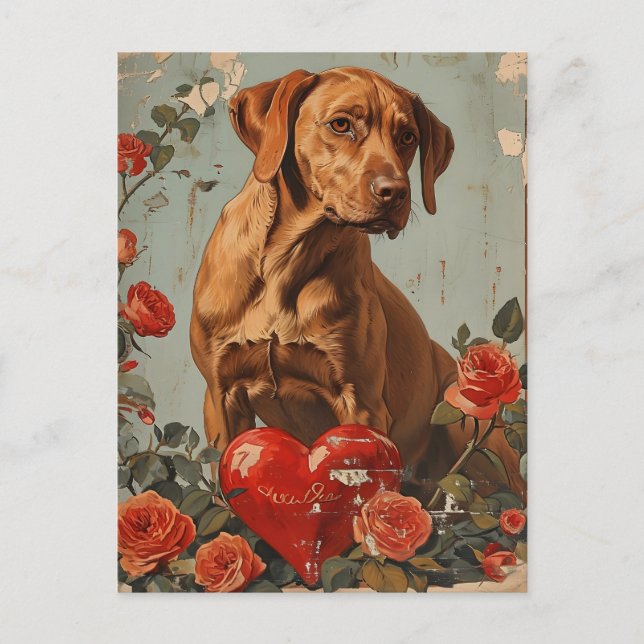 Vizsla Vintage Valentine's day  Postcard (Front)