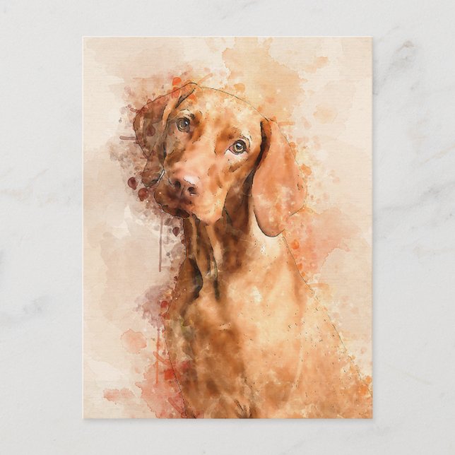 Vizsla Watercolour Postcard (Front)