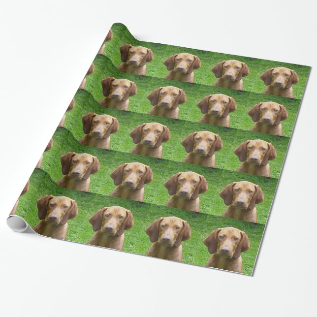 vizsla wrapping paper (Unrolled)
