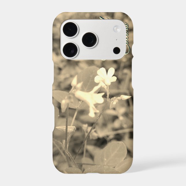 VOICE OF NATURE GIFT (Back)