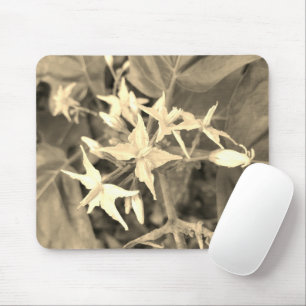 VOICE OF NATURE GIFT MOUSE MAT