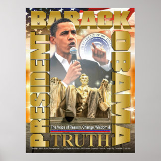 Voice of Reason - Poster