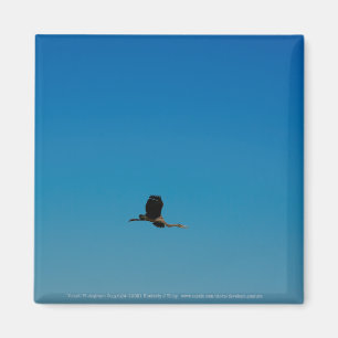 Volant Magnet