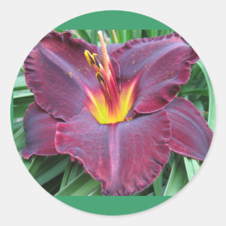 Volcanic Daylily Sticker