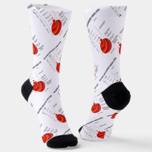 Volcanic Explosivity Index (VEI) Geology Volcano Socks