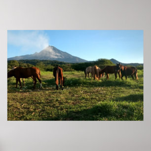 Volcano, Horses, Mountain, Landscape Poster