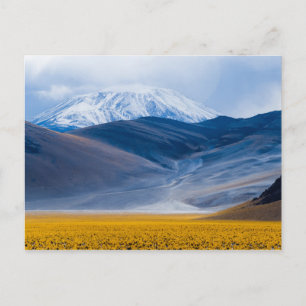 Volcano Incahuasi, Argentina Postcard