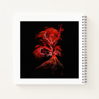 Volcano Notebook