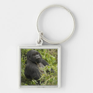 Volcanoes National Park, Mountain Gorilla Key Ring