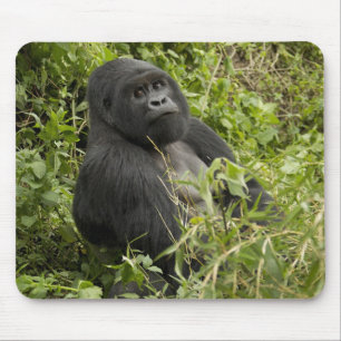Volcanoes National Park, Mountain Gorilla Mouse Mat
