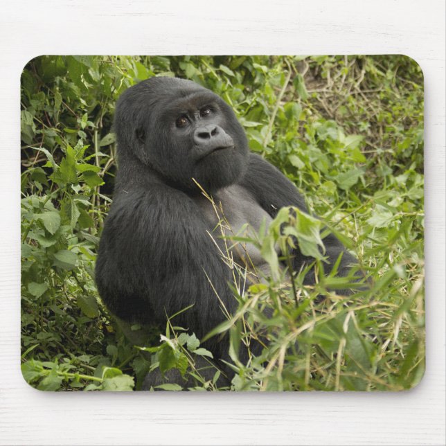 Volcanoes National Park, Mountain Gorilla Mouse Mat (Front)