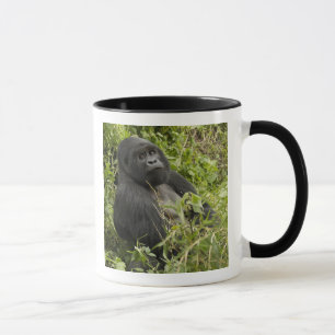 Volcanoes National Park, Mountain Gorilla Mug
