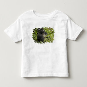 Volcanoes National Park, Mountain Gorilla Toddler T-Shirt