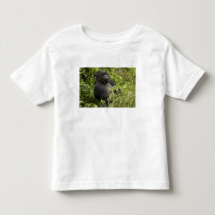 Volcanoes National Park, Mountain Gorilla Toddler T-Shirt