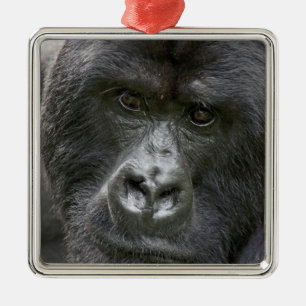 Volcanoes NP, Rwanda, Mountain Gorillas, Metal Tree Decoration