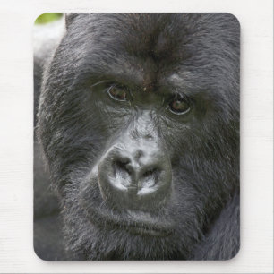 Volcanoes NP, Rwanda, Mountain Gorillas, Mouse Mat