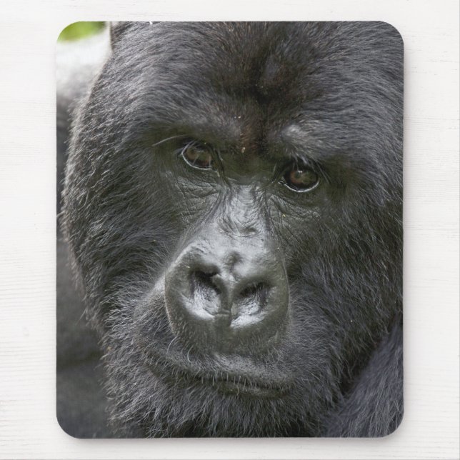 Volcanoes NP, Rwanda, Mountain Gorillas, Mouse Mat (Front)