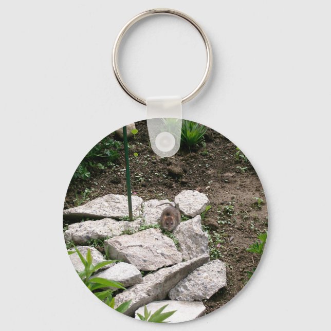 Vole Keychain (Front)