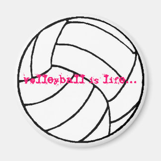 volleyball mag. magnet