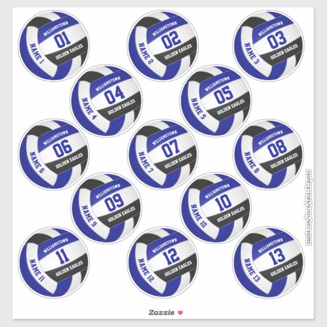 volleyball players names blue black set of 13 (Sheet)