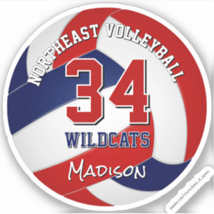 volleyball team colours kids red blue