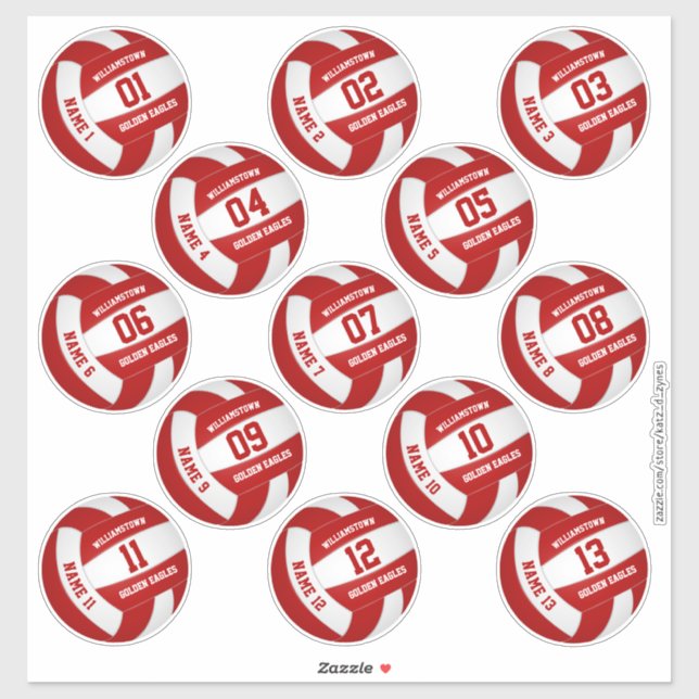 volleyball team party 13 team members custom (Sheet)